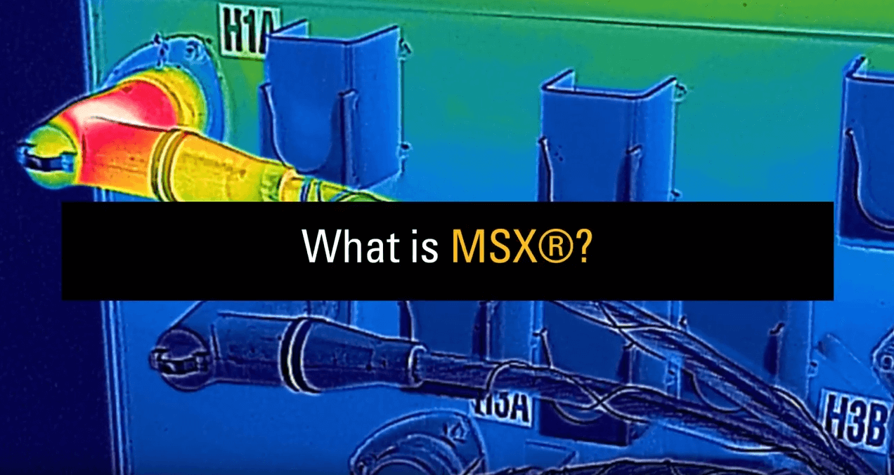 QU'EST-CE QUE FLIR MSX® ?